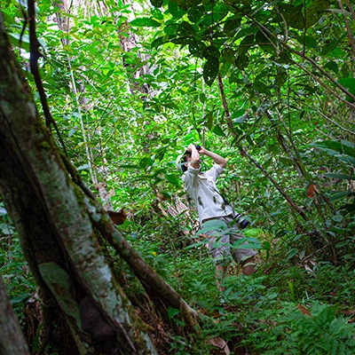 Día Internacional de los Bosques