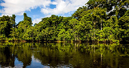 Día de la Reserva Nacional de Pacaya-Samiria