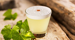 Día del Pisco Sour