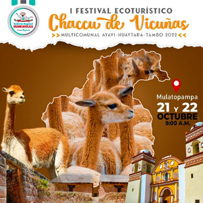 I Festival Ecoturístico Chaccu De Vicuñas Multicomunal Ayavi-Huaytará-Tambo 2022