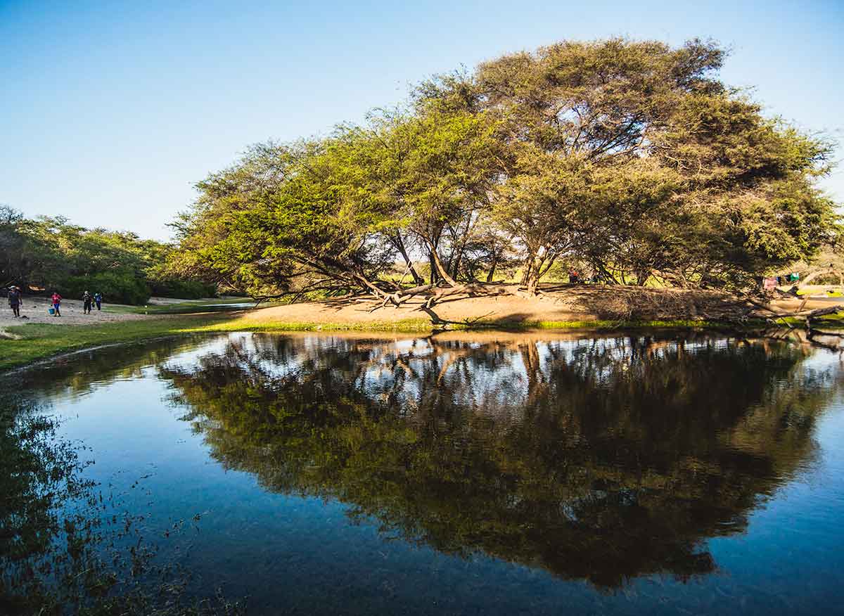 Lugares turísticos de Moquegua- Malecón de Ilo