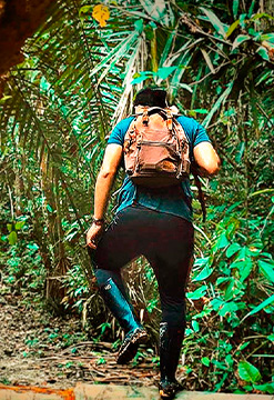 Bienvenido a la selva