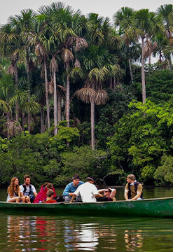 Eco jungla y Lago Sandoval