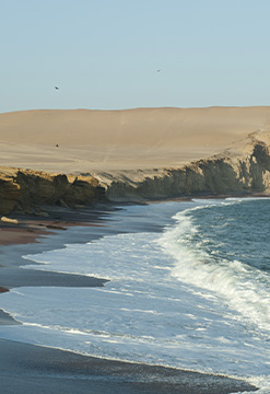 Naturaleza en Paracas y Tradición en Ica