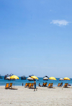 Nado con tortugas, playa, sol y arena