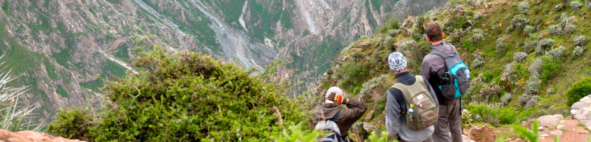 Arequipa: Se recupera el turismo en el Valle del Colca