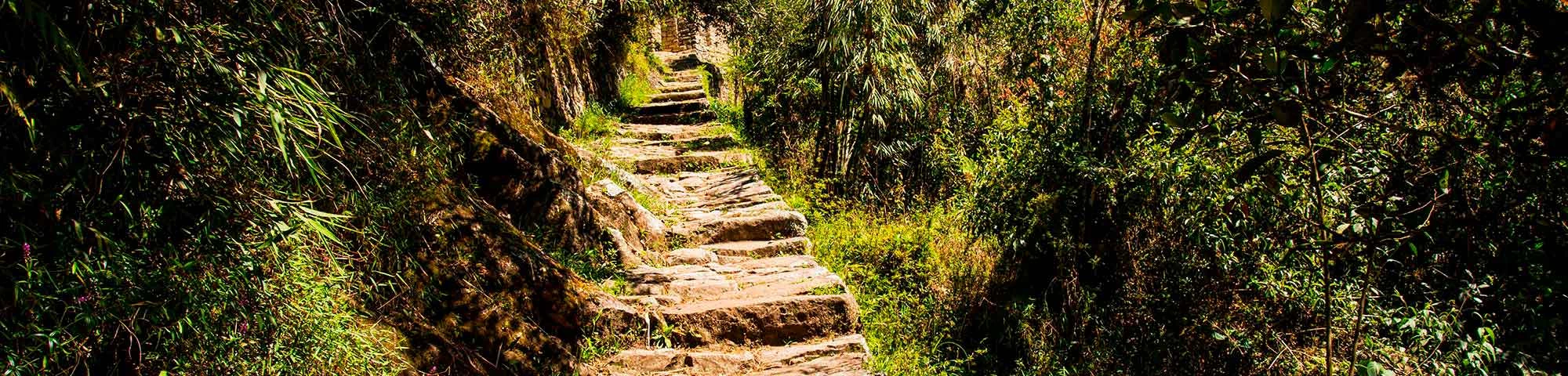 View Perú: reapertura Camino Inca el 15 de julio