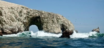 Las Islas Ballestas en Paracas volvieron a recibir a los turistas