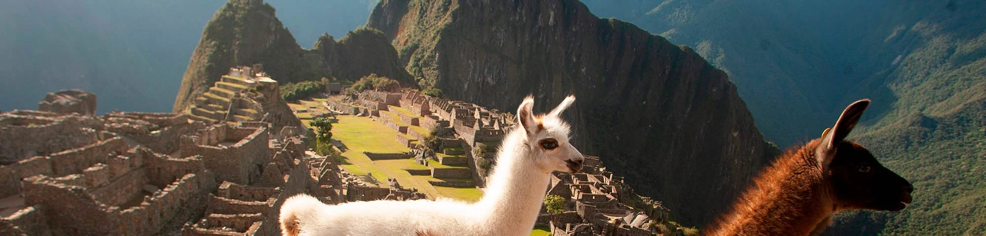 Marca Machu Picchu fortalecerá la reactivación turística