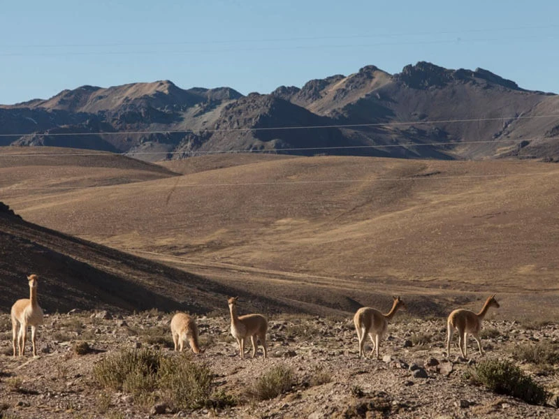 Valle de los Volcanes - Andagua