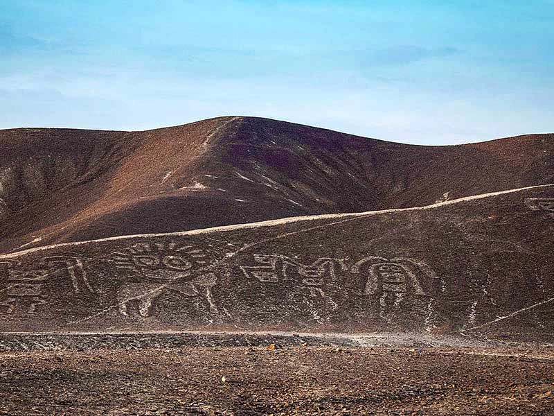 Descubre Palpa