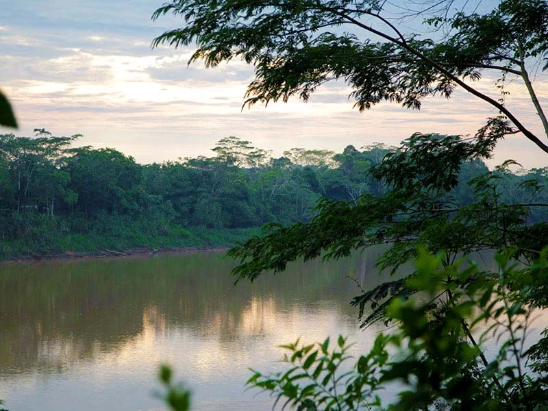 Tambopata Vivencial